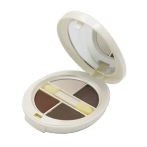 خرید سایه چشم ۴ رنگ دراماتیک شون E06