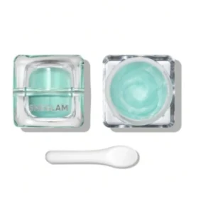 پرایمر یخی شیگلم