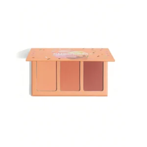 پالت رژ گونه شیگلم سه رنگ Private Cabana